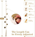 Dog ringing potty training bell on door handle