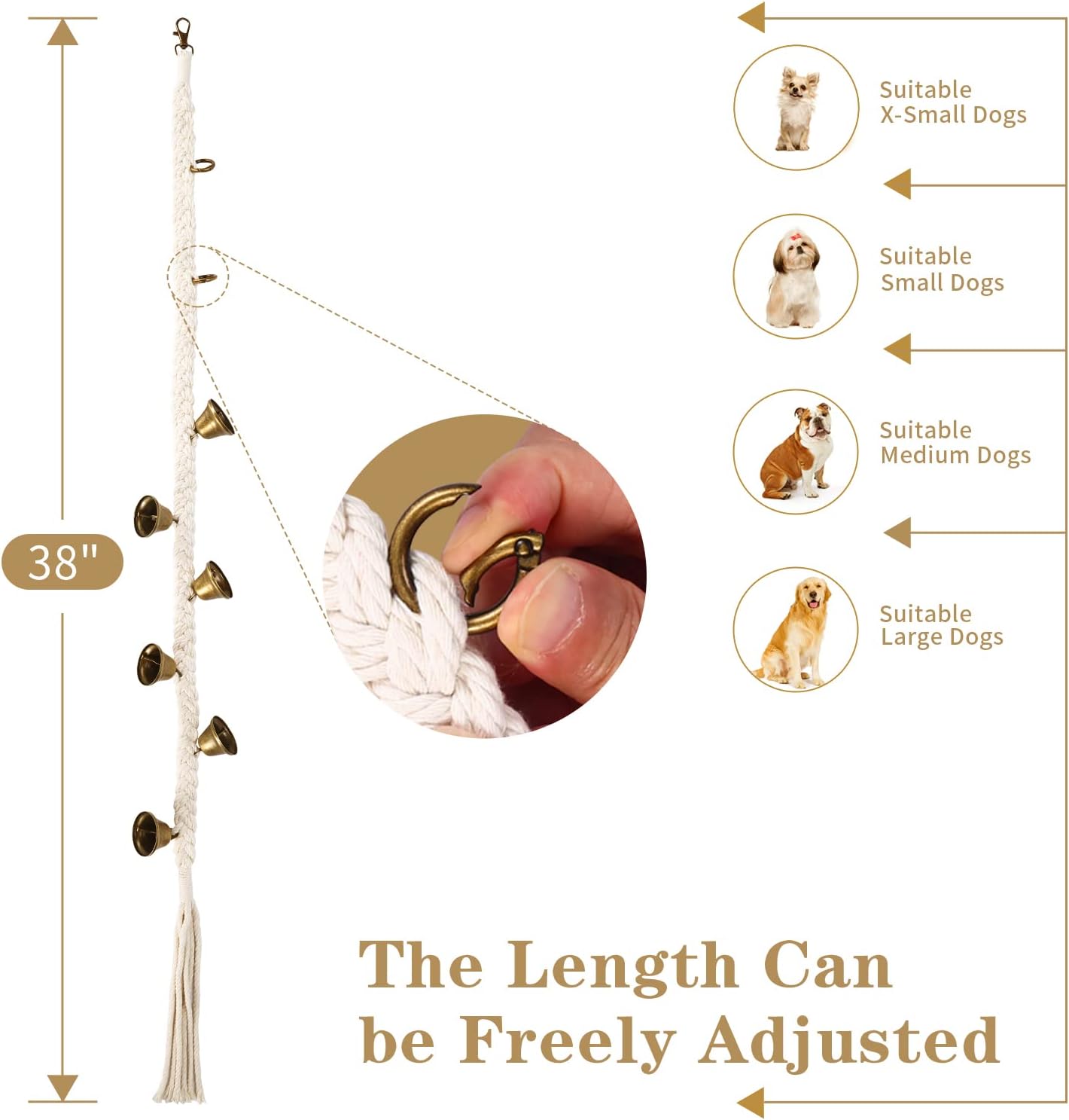 Dog ringing potty training bell on door handle
