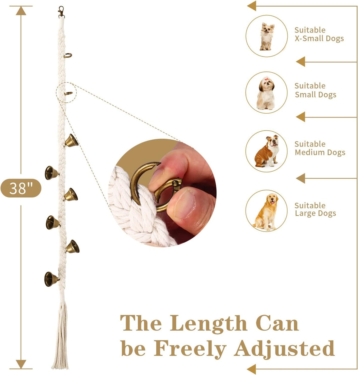 Dog ringing potty training bell on door handle