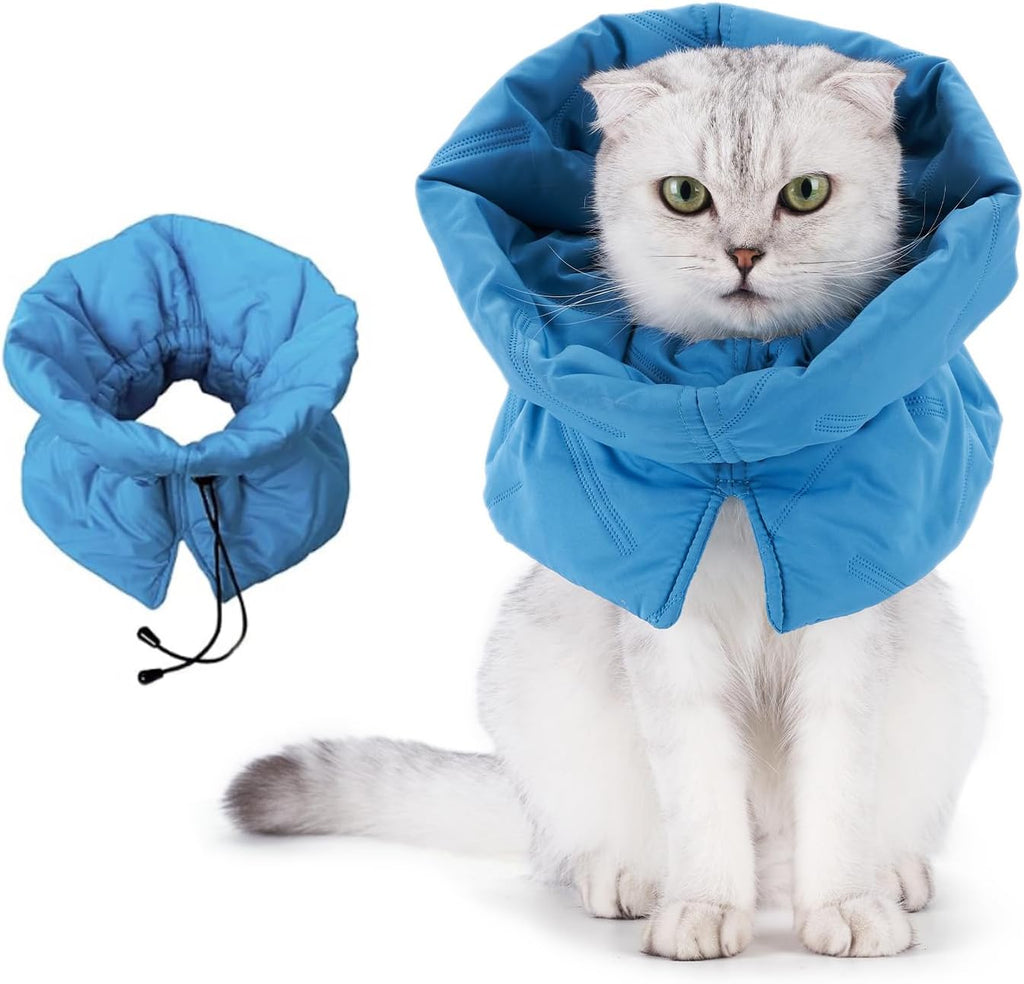 Leotrag cat recovery collar in lake blue front view post-surgery pet cone