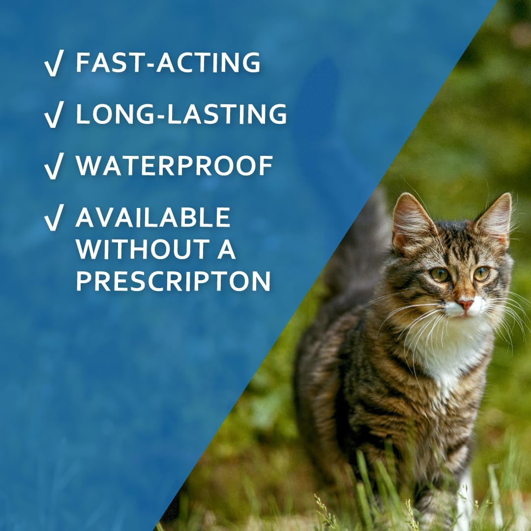 Fiproguard topical flea treatment for cats application instructions and safety labels on back panel.