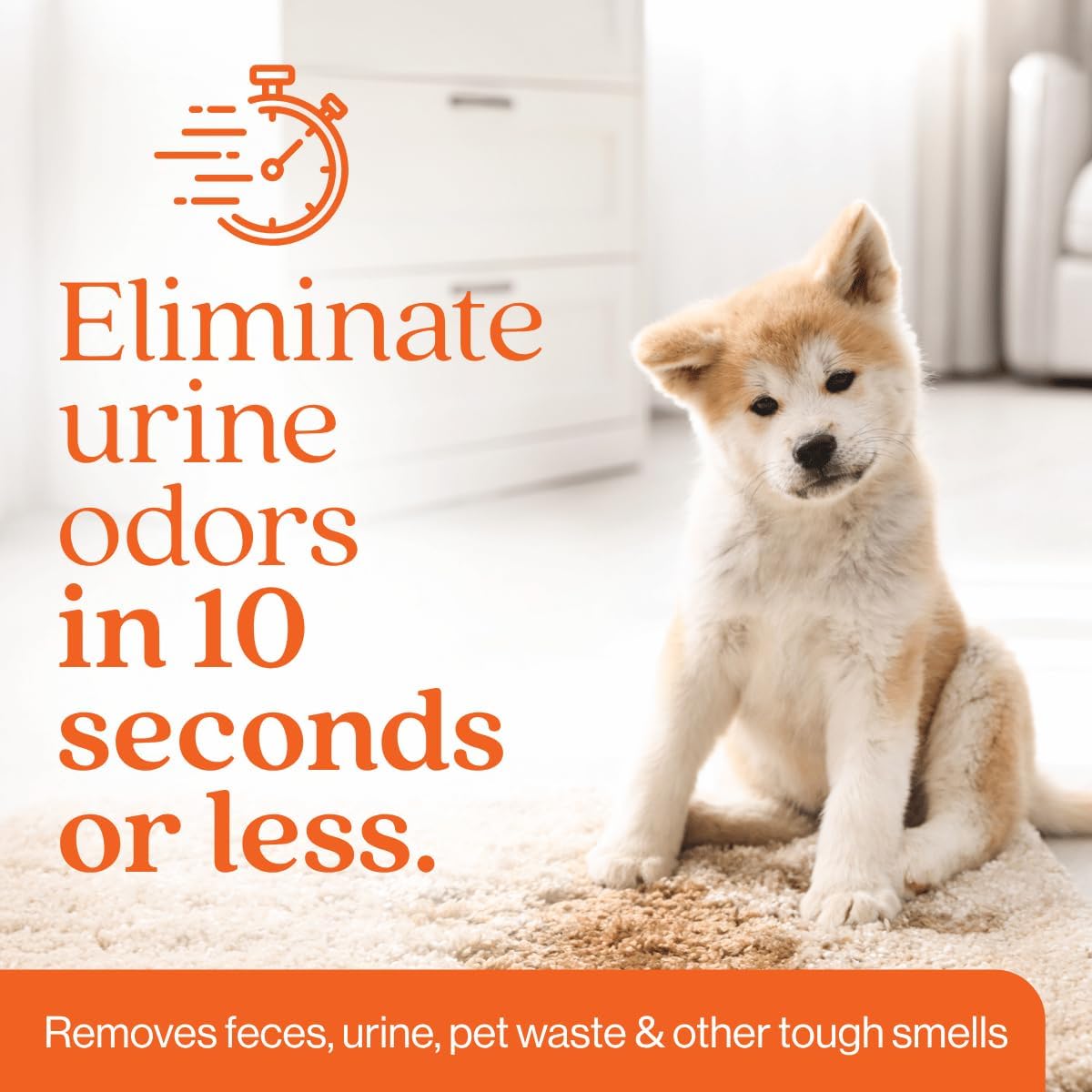 Eco Strong professional strength pet stain remover on furniture
