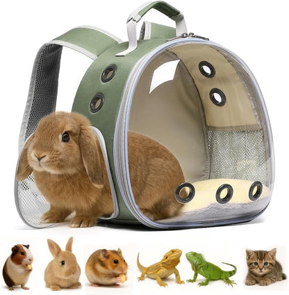 Bunny Carrier, Guinea Pig Carrier,Small Animal Carrier Backpack for Rabbit,Bearded Dragon, Lizard,Hamster,Kitten. Breathable Pet Travel Cage Bag Perfect for Vet Visits & Outdoor Adventures (Black) - Image 10