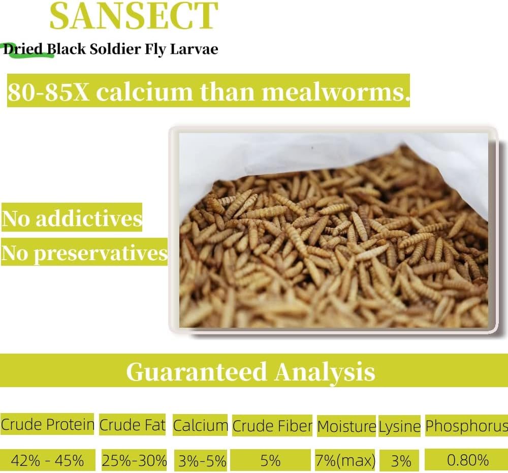 Sansect dried black soldier fly larvae close up texture
