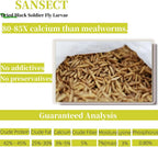 Sansect dried black soldier fly larvae close up texture