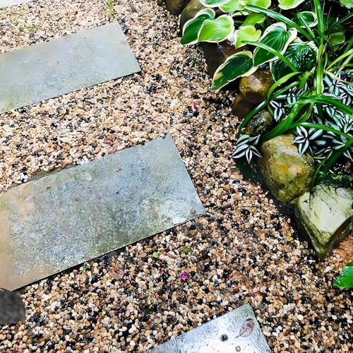 Natural river rocks used as soil cover for indoor plants