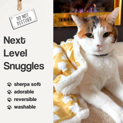 Indoor cat curled up asleep on the soft cream and yellow fleece surface.