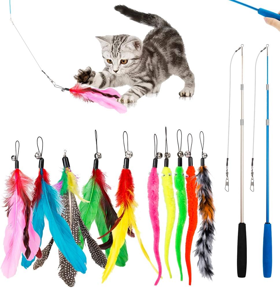 Jiaron feather teaser cat toy set front view showing wands and refills
