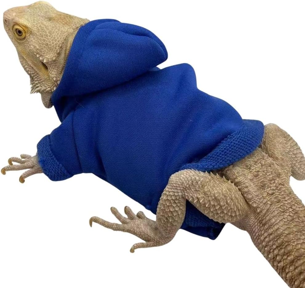 KUNBIUH handmade lizard outfit packaged for authentic USA import