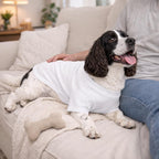 Lovelonglong branded pet clothing tag and fabric detail