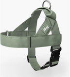 Dog Friendly Co. Dog Harness | Chafe Resistant Webbing, Adjustable Neck & Chest, and Heavy Duty D-Ring | Sturdy, Comfortable, Easy to Use | Classic Blue, Size L - Image 13