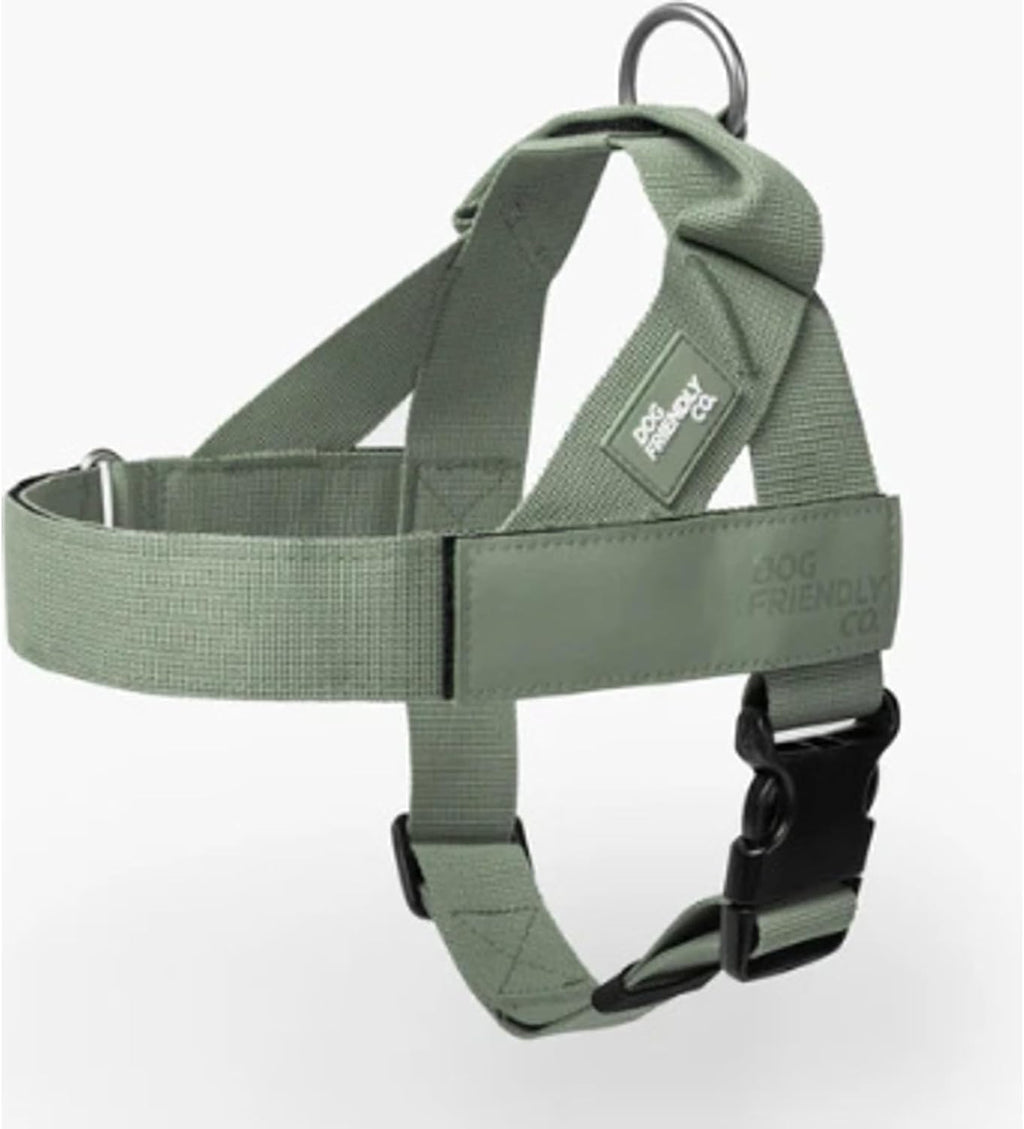 Dog Friendly Co. Dog Harness | Chafe Resistant Webbing, Adjustable Neck & Chest, and Heavy Duty D-Ring | Sturdy, Comfortable, Easy to Use | Pink, Size L - Image 13