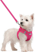 Rabbitgoo dog harness small size front view breathable pet vest