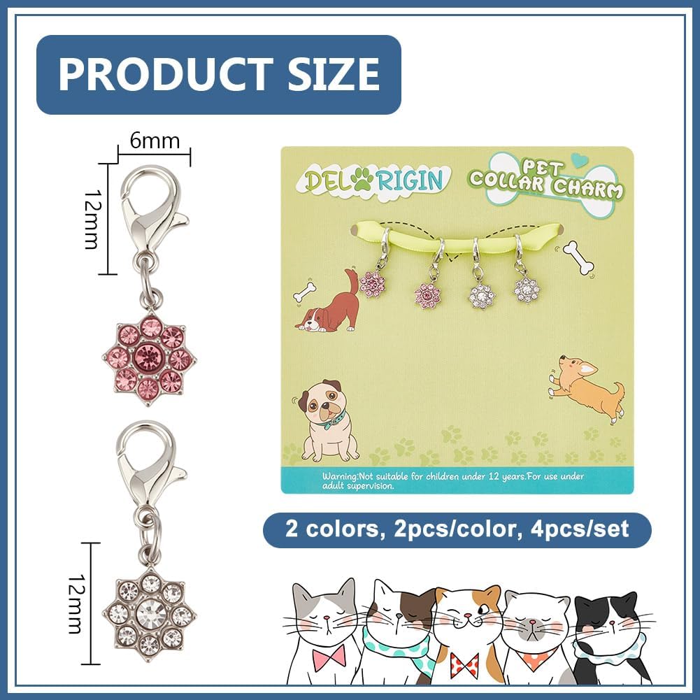 Detailed view of Luter stainless steel pet charm