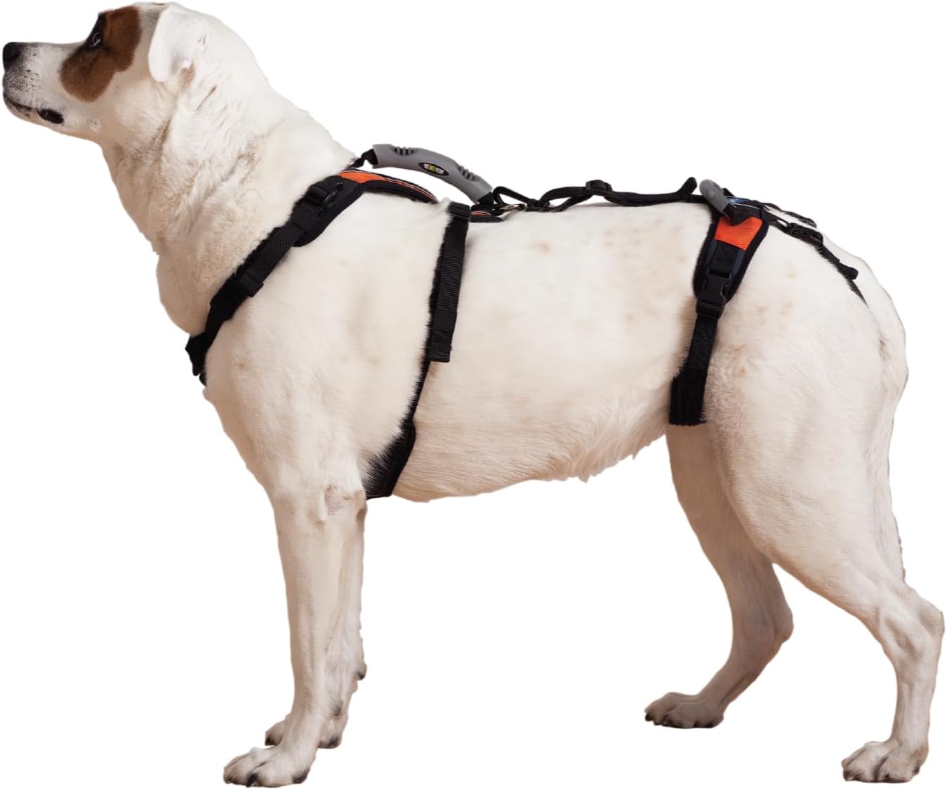 Help 'Em Up(R) - Dog Lift Harness Adjustable Lifting Harness for Dogs Full Body Support, Rear Leg Support (Conventional, Medium, 45-80 lbs) - Image 1