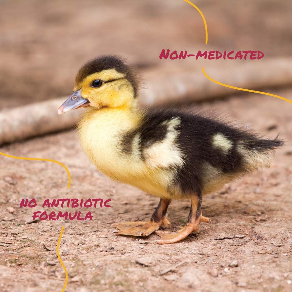 Manna Pro Duck Starter Grower ingredients list on packaging
