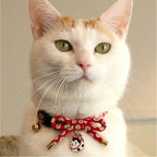 Packaged Necoichi red cat collar showing official branding