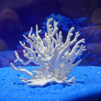 WEKVLPTH white resin coral aquatic pet ornament for freshwater and saltwater setups