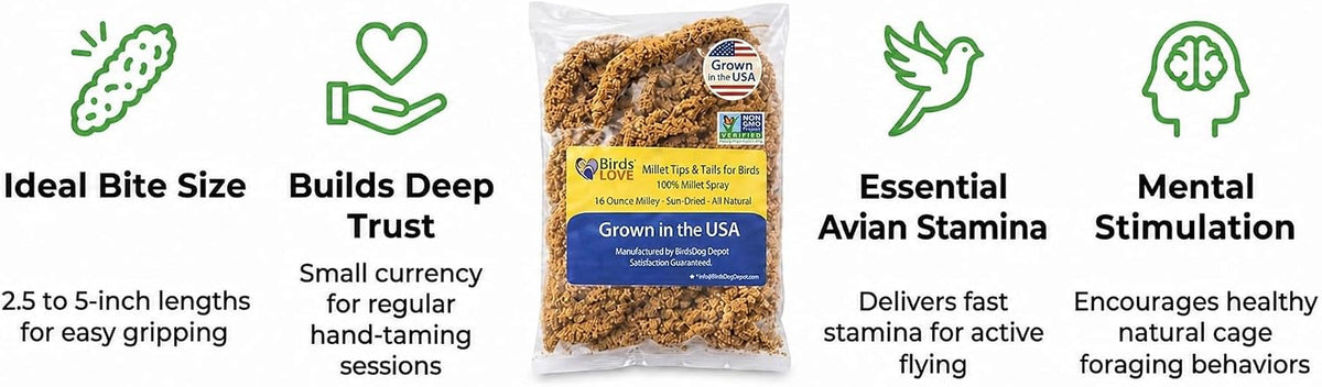 Birds LOVE(R) Millet Tips & Tails for Birds - Premium Spray Millet Treat, Non-GMO, USA Grown - Natural Bird Food for Parakeets, Cockatiels, Budgies, Lovebirds, Finches, Canaries & Parrots - 1 lb - Image 9
