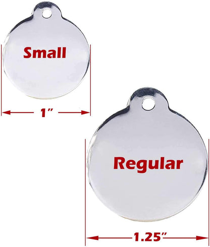 Premium solid stainless steel service animal collar accessory with mirror polished finish and rust resistant hardware.
