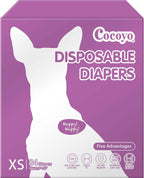 Step by step application guide for putting small diapers on a female dog