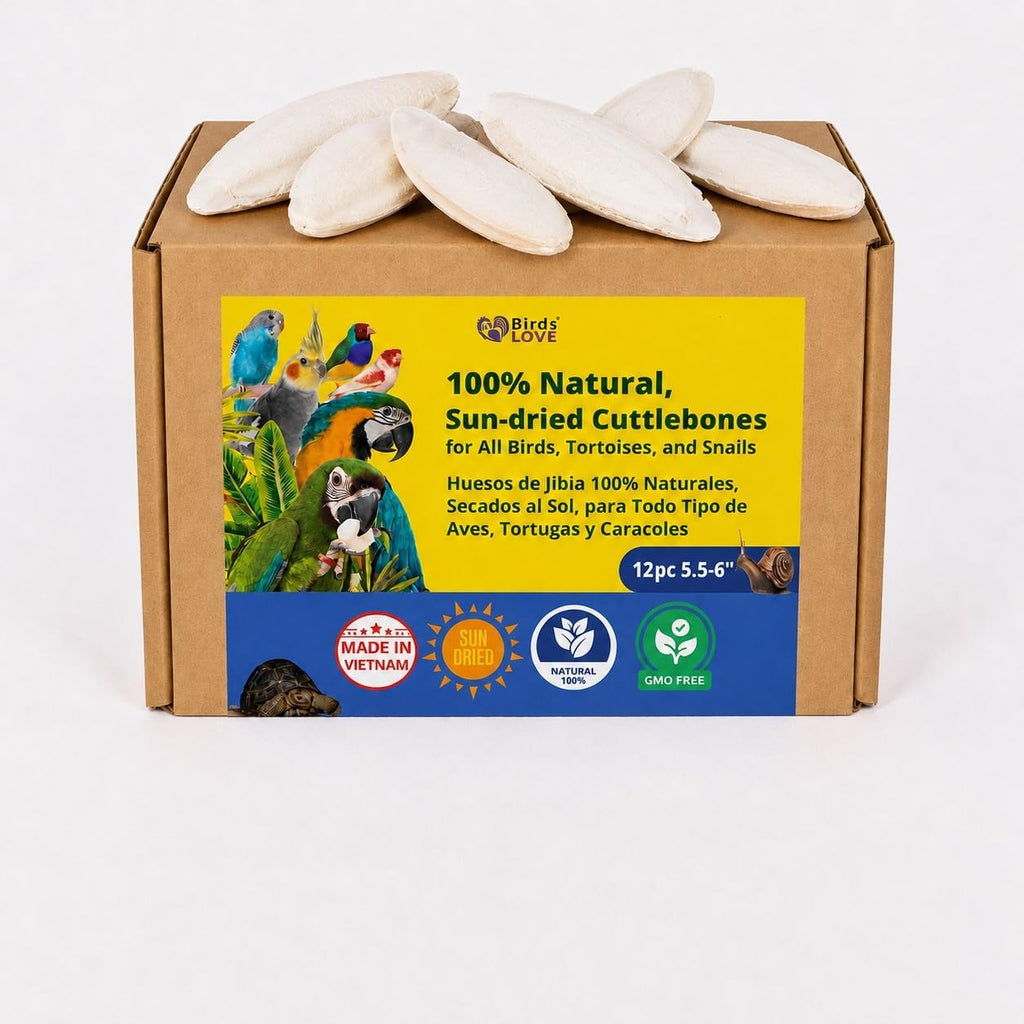 Birds LOVE 3.5-4" Cuttlebone for Birds - 100% Natural Sun-Dried Calcium & Beak Conditioning Supplement for Parakeets, Budgies, Cockatiels, Finches & Canaries - 4 Pack with Holder - Made in Vietnam - Image 15