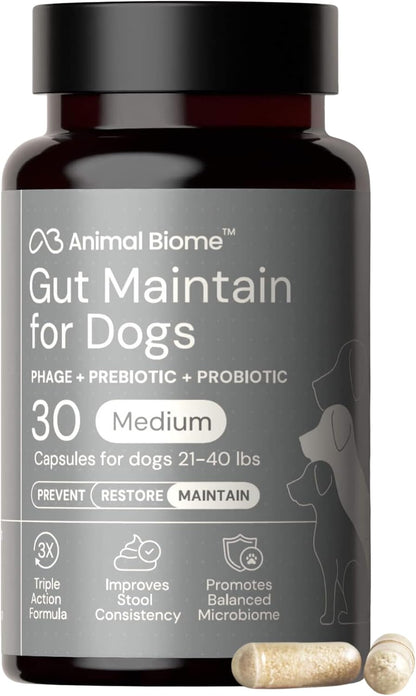 Animal Biome Probiotics for Dogs with S Boulardii, Gut Maintain (60 Capsules) - Triple-Action Large Dog Probiotics, Prebiotics & Phage Supplements for Gut Health, Firmer Stool & Diarrhea Support - Image 12