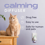 Close-up of the Buddyjoy thirty day natural pheromone refill bottle for feline stress management.
