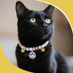 Ancnoz premium cat wedding jewelry styled lifestyle image.