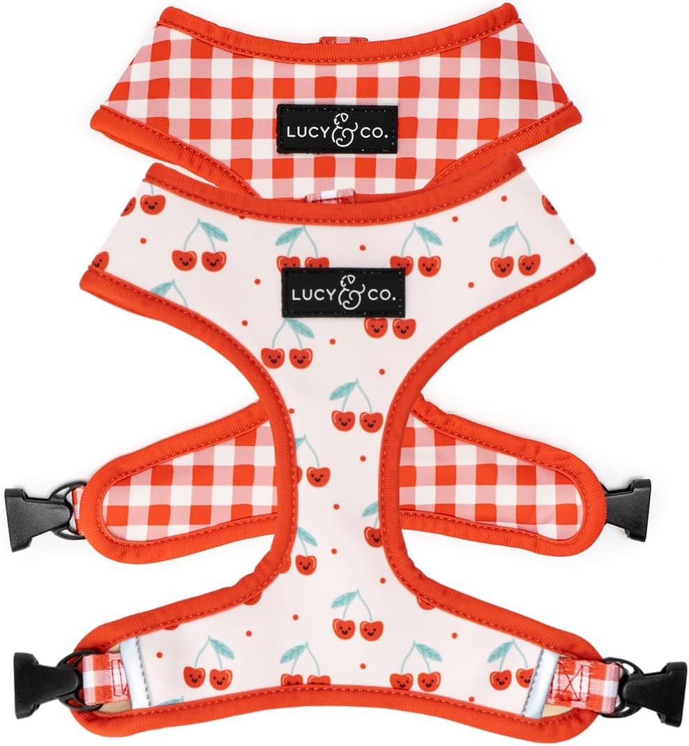 Lucy and Co Reversible Dog Harness front view showcasing the cherry print design.
