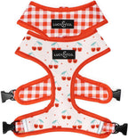 Lucy and Co Reversible Dog Harness front view showcasing the cherry print design.