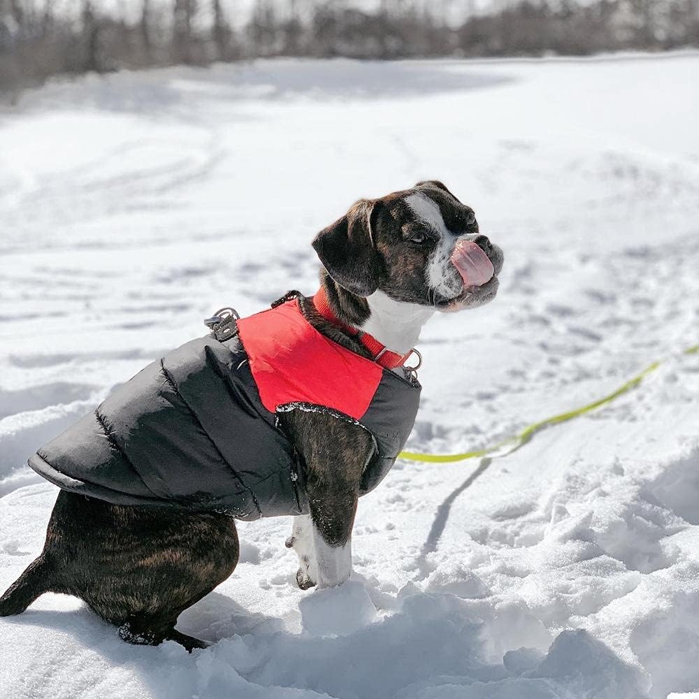 Side view of Gooby red padded vest for small dogs