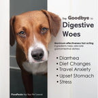 Flora-Pectin chicken flavor oral paste for feline and canine use