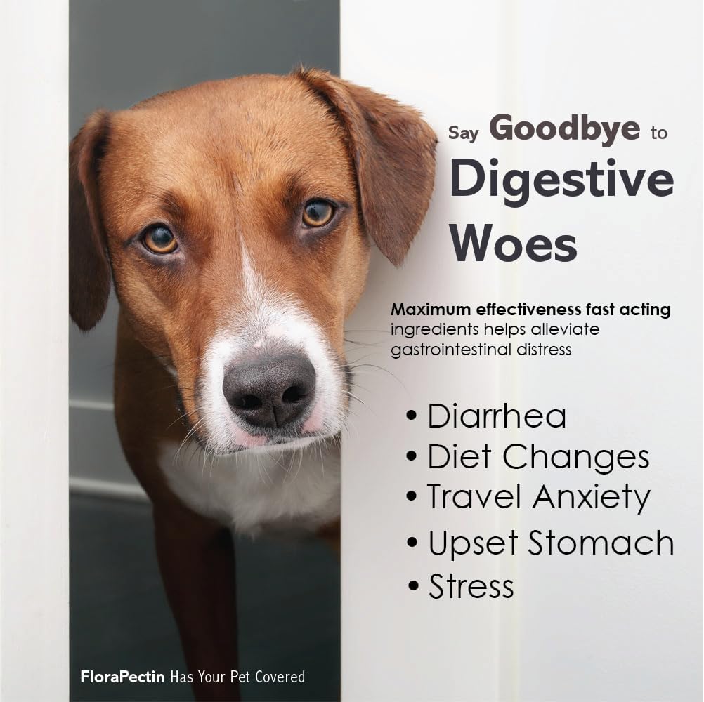 Flora-Pectin chicken flavor oral paste for feline and canine use