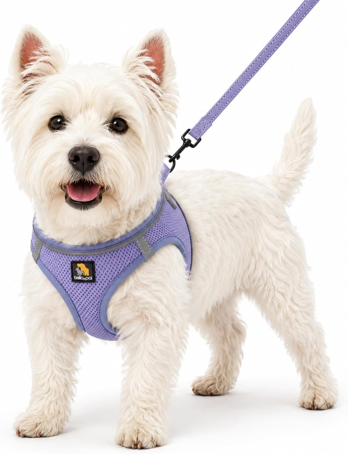 Bella And Pal step in vest harness lavender front view on small puppy