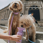 Springer Dog Water Bottle | Portable Travel Drinking Feeder Dispenser for Dogs & Puppies | As Seen on Shark Tank | Leak-Proof Bowl | BPA-Free | Outdoor Walking, Hiking & Travel | 15oz Blue - Image 9