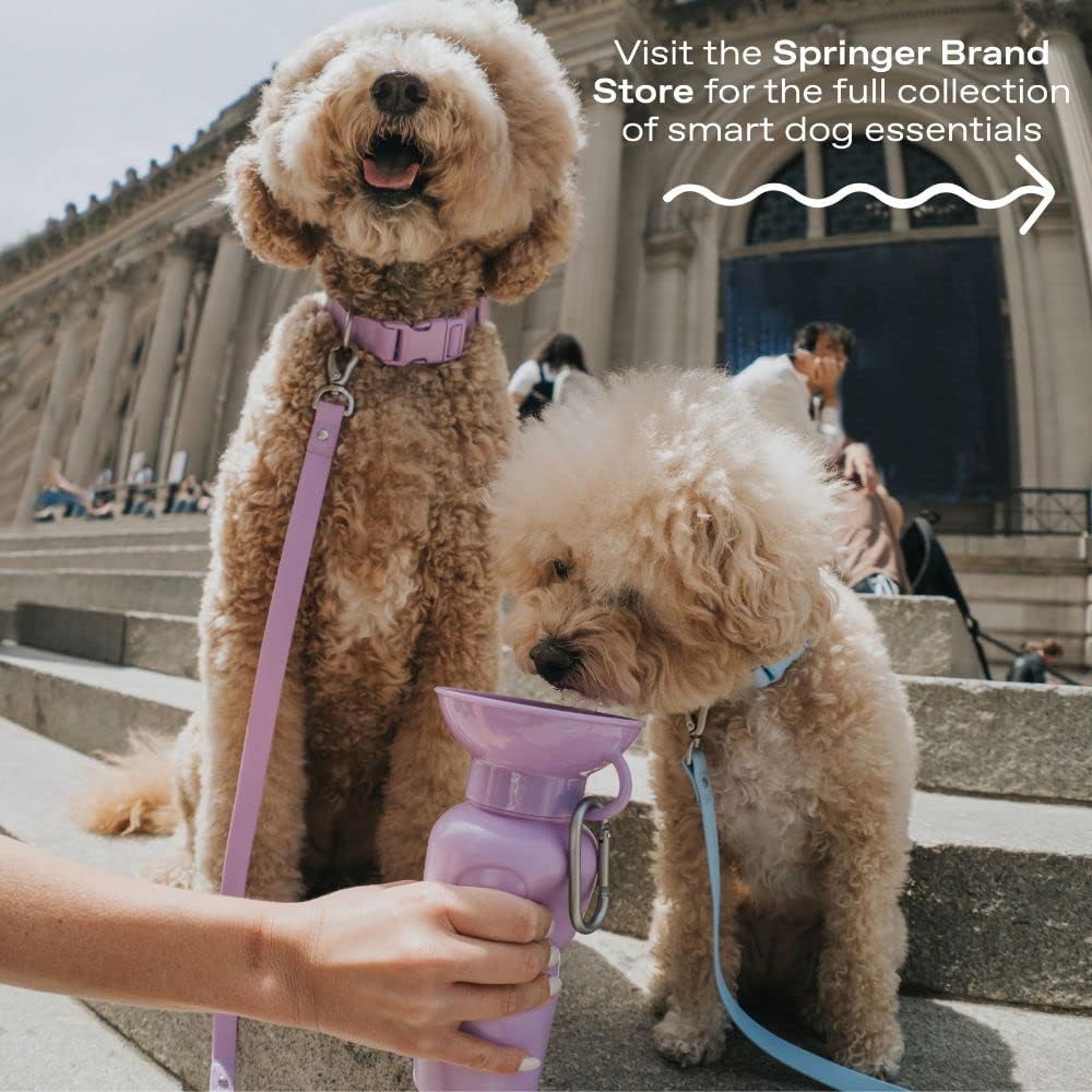 Springer Dog Water Bottle | Portable Travel Drinking Feeder Dispenser for Dogs & Puppies | As Seen on Shark Tank | Leak-Proof Bowl | BPA-Free | Outdoor Walking, Hiking & Travel | 15oz Blue - Image 9