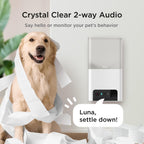 Petcube Bites 2 Lite wall mounted pet monitoring device in a modern living room
