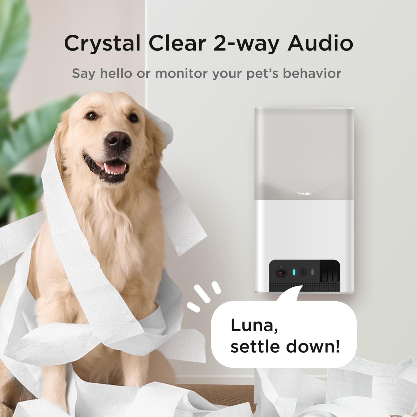 Petcube Bites 2 Lite wall mounted pet monitoring device in a modern living room