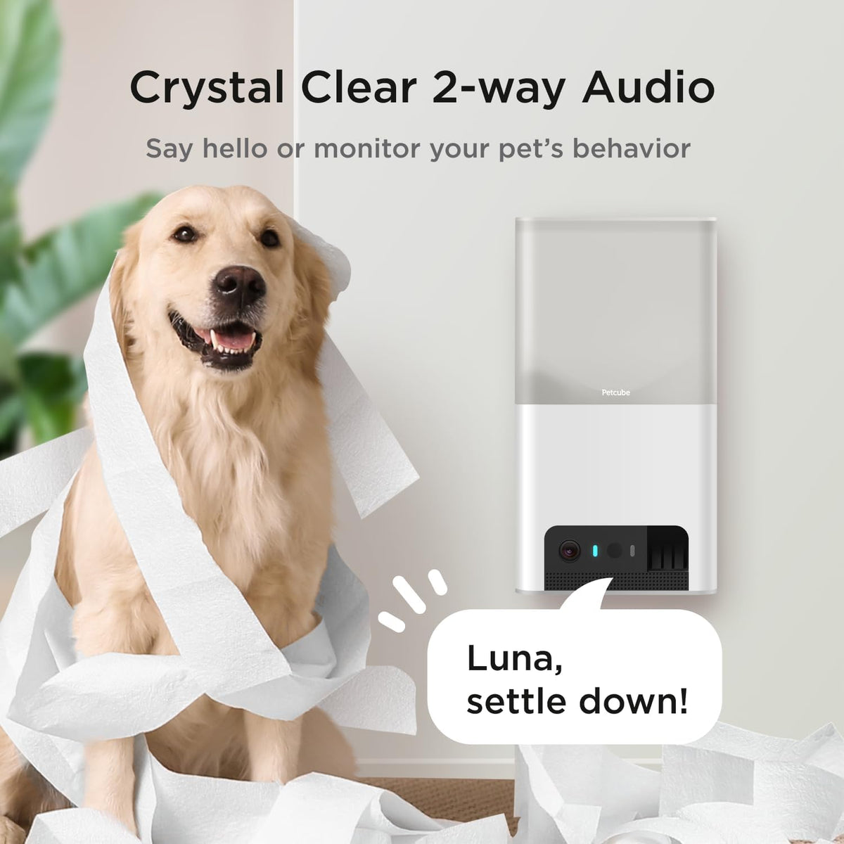 Petcube Bites 2 Lite wall mounted pet monitoring device in a modern living room