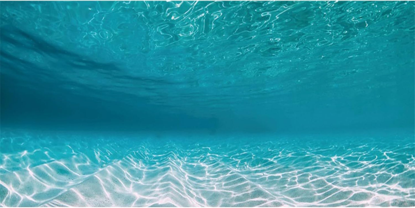 AWERT undersea aquarium background front view showing tropical ocean floor design