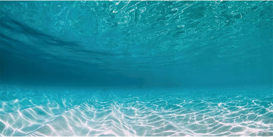 AWERT undersea aquarium background front view showing tropical ocean floor design