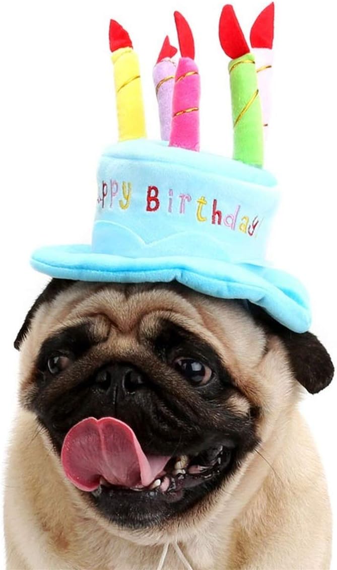 Blue plush birthday hat for pets with colorful candles