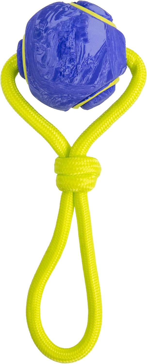 Outward Hound FlyFetch Disc Dog Toy, Aerodynamic for Fetch, Lightweight Foam & Durable Rubber, Floats in Water, All Breeds, 8.3" - Image 9
