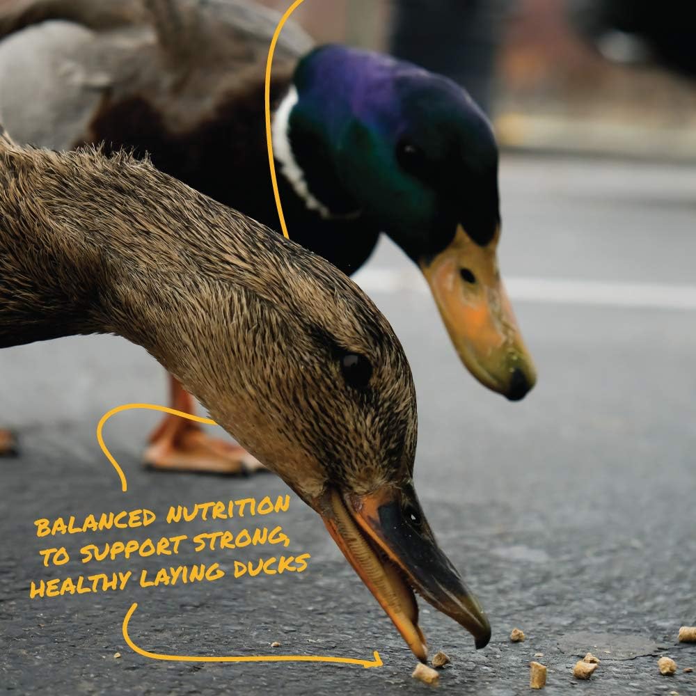 Manna Pro Duck Layer Pellet nutritional information label