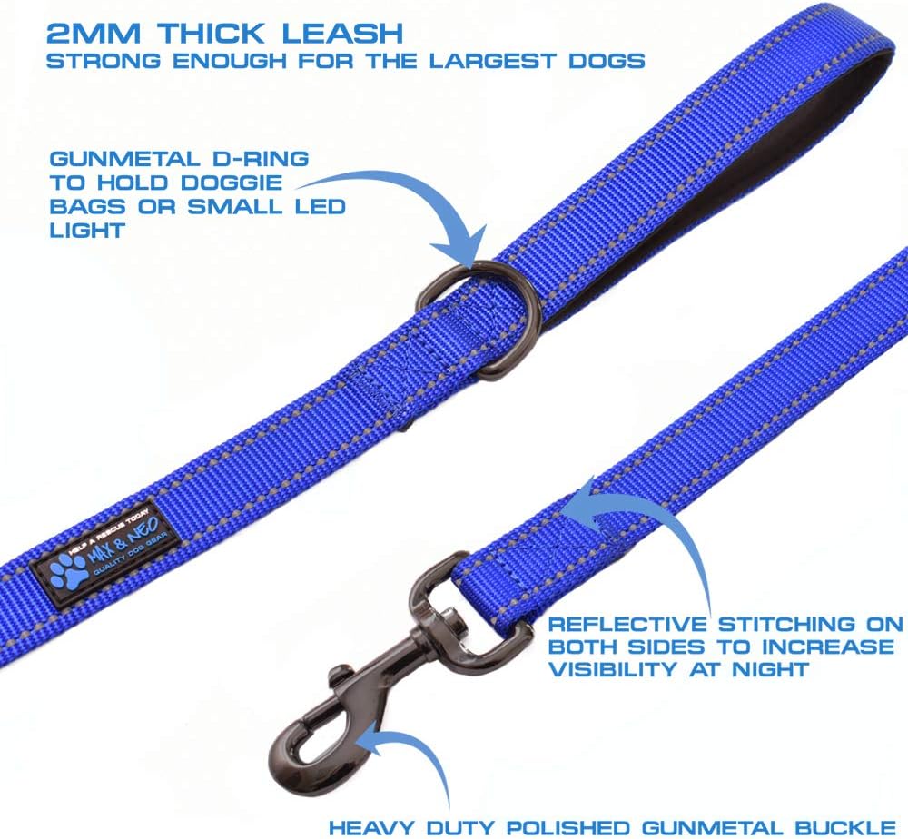 Max and Neo teal dog leash showing dual padded neoprene handles