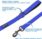 Max and Neo teal dog leash showing dual padded neoprene handles