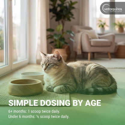 Directions for use on Vetoquinol Viralys cat health product