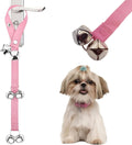 Close up of 1.4 inch metal bells for dog training