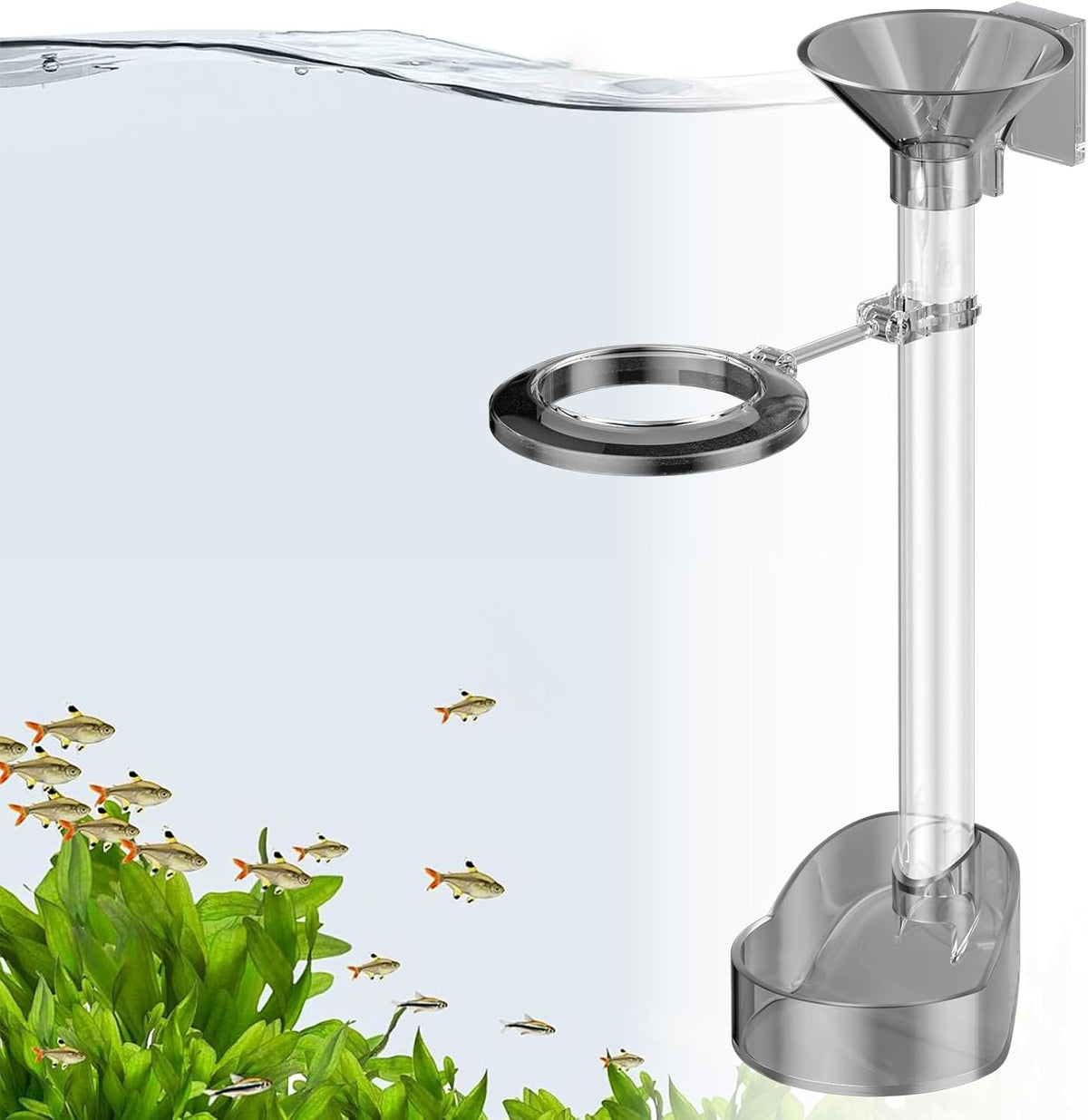 Pawfly clear acrylic shrimp feeding tube and dish set front view inside aquarium tank